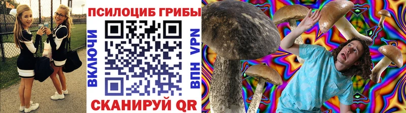 продажа наркотиков Петушки Галлюциногенные грибы Psilocybine cubensis